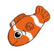 clownfisch1